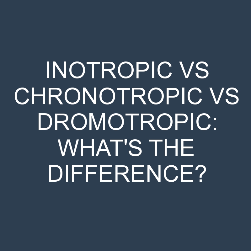 What Is Dromotropic Effect