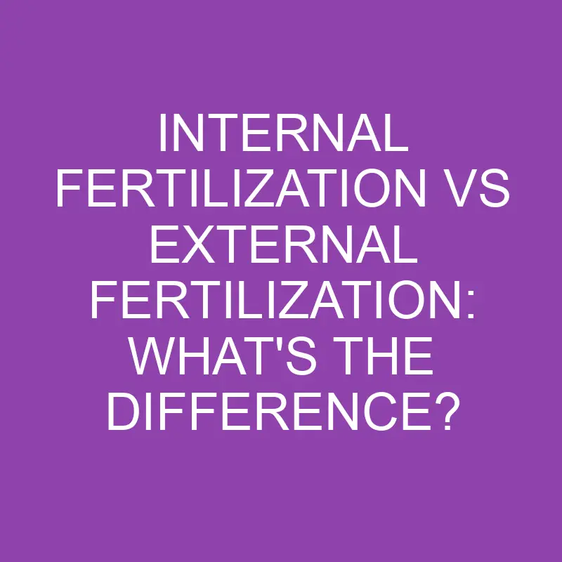 internal fertilization vs external fertilization whats the difference 3207