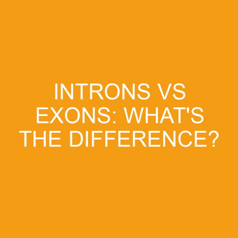 Introns Vs Exons: What’s the Difference?