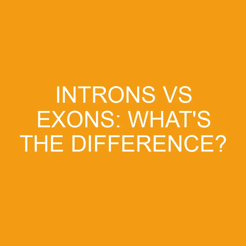 introns vs exons whats the difference 3314
