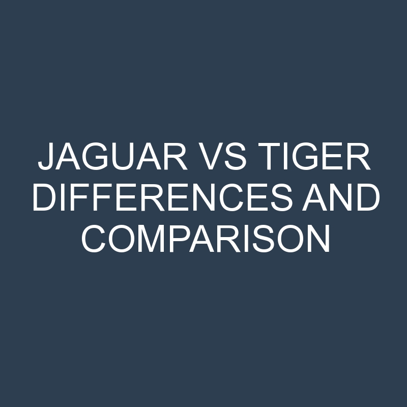 Jaguar vs Tiger Differences and Comparison