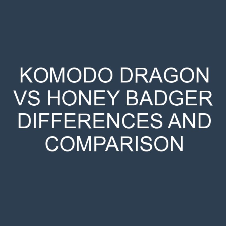 Komodo Dragon vs Honey Badger Differences and Comparison