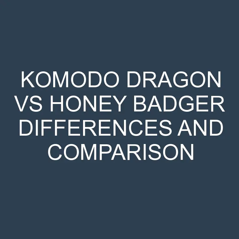 komodo dragon vs honey badger differences and comparison 500