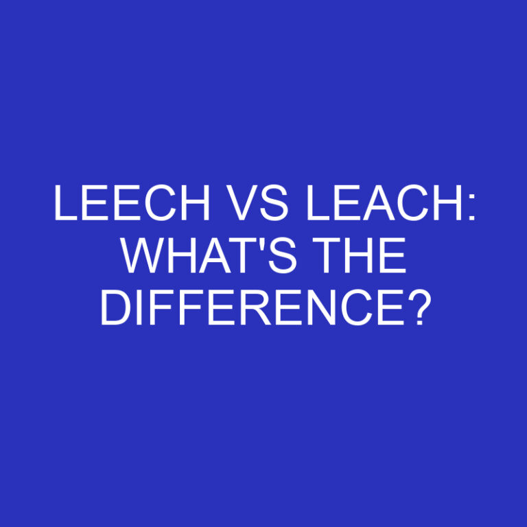 Leech Vs Leach: What’s The Difference?
