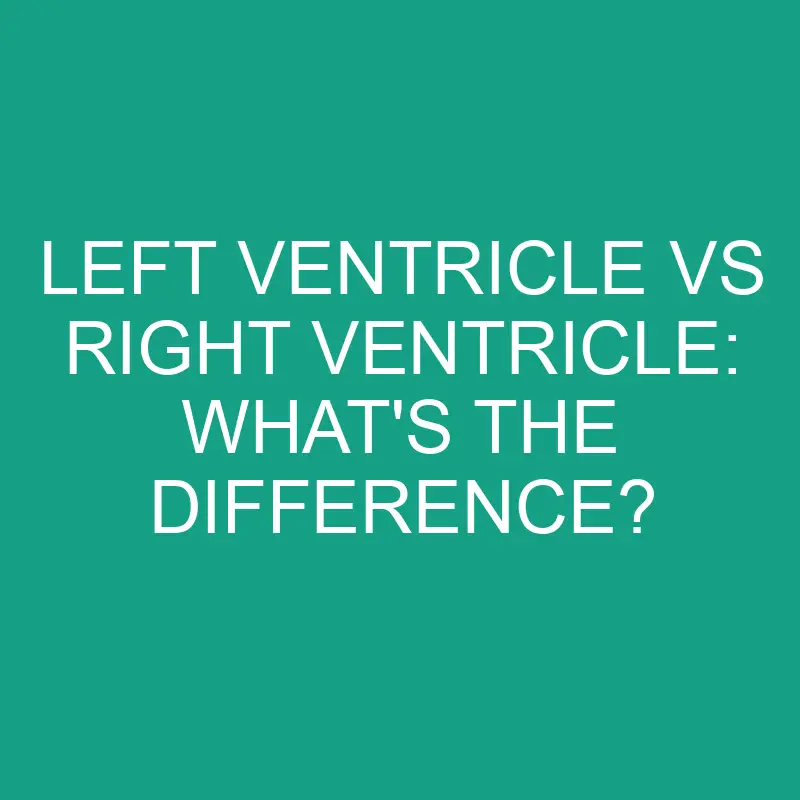 Left Ventricle Vs Right Ventricle: What’s the Difference?