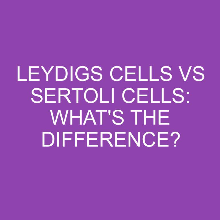 Leydigs Cells Vs Sertoli Cells: What’s the Difference?