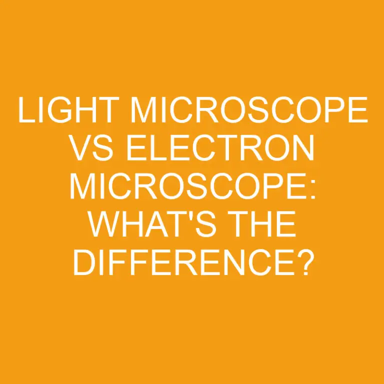 Light Microscope Vs Electron Microscope: What’s the Difference?