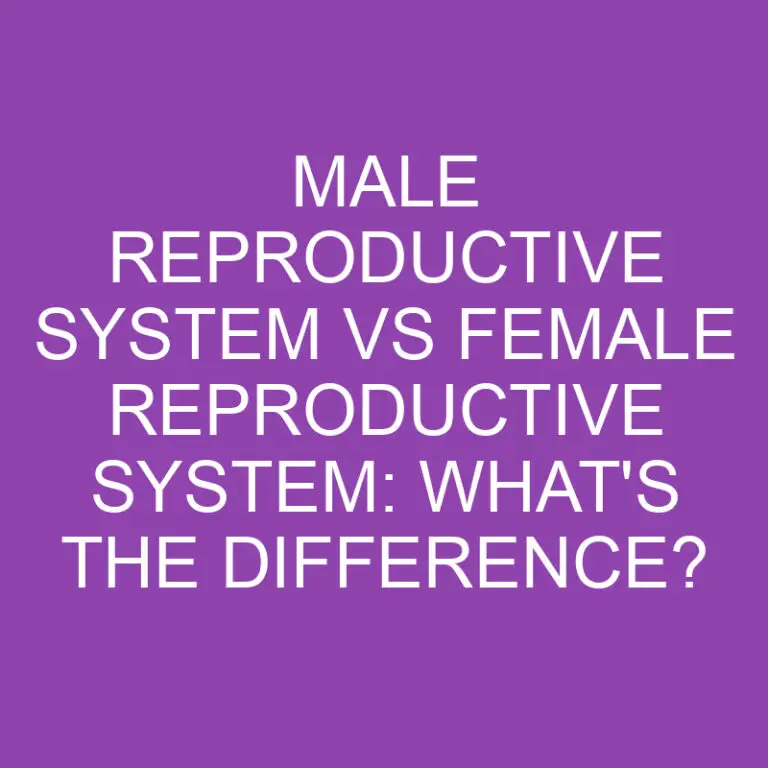 Male Reproductive System Vs Female Reproductive System: What’s the Difference?