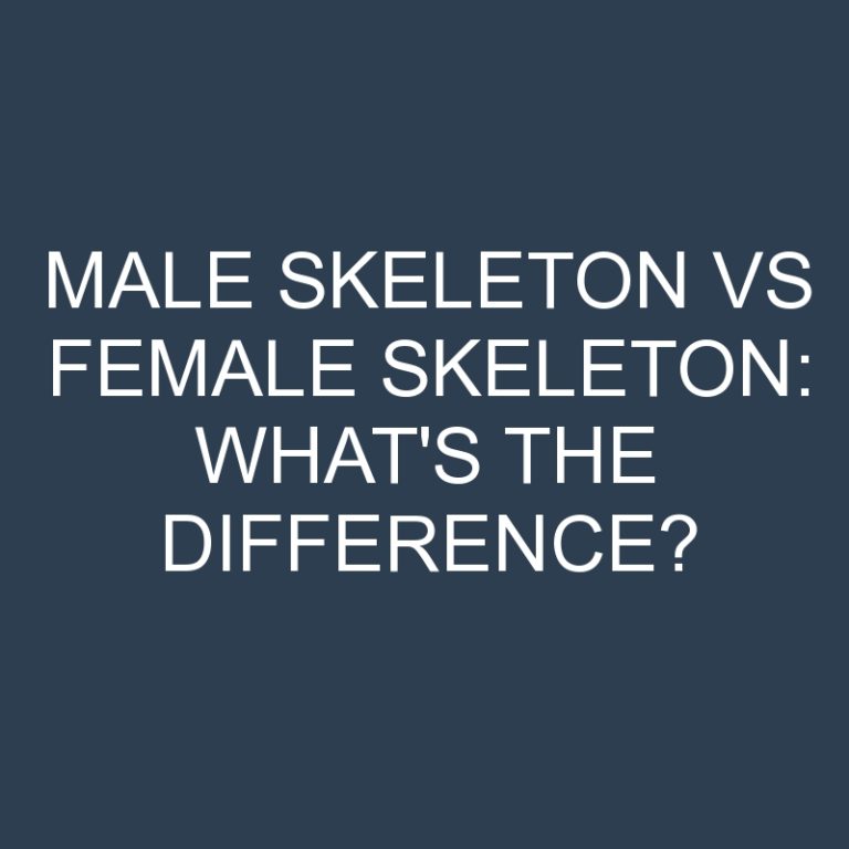 Male Skeleton Vs Female Skeleton: What’s the Difference?