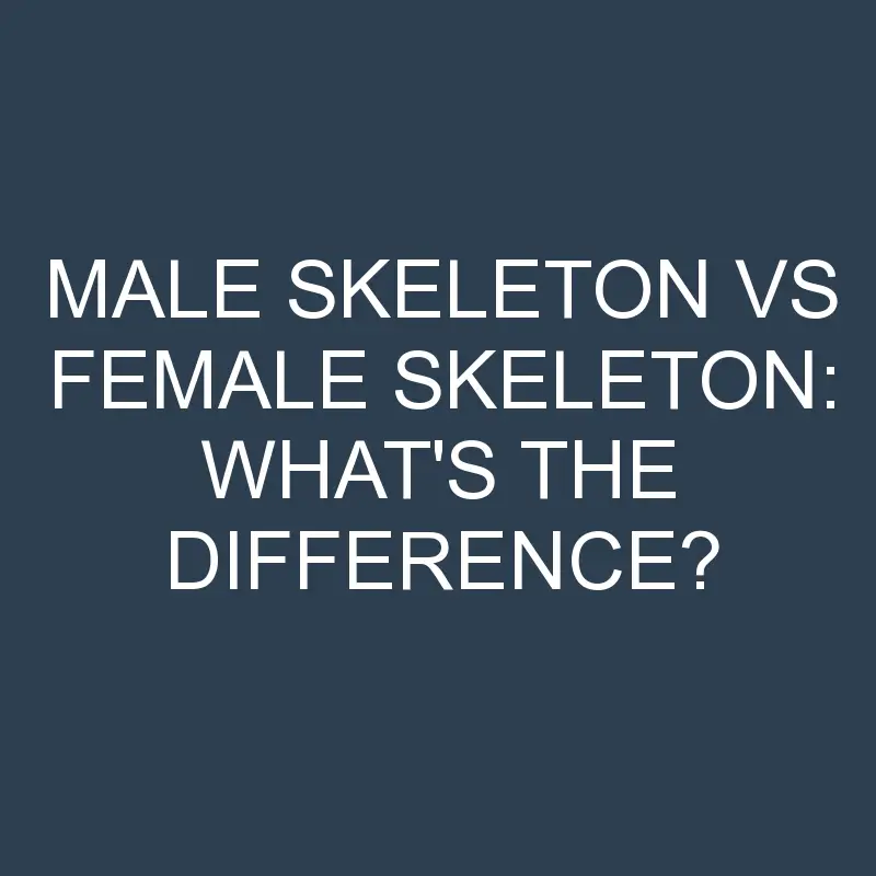 male skeleton vs female skeleton whats the difference 1968 1