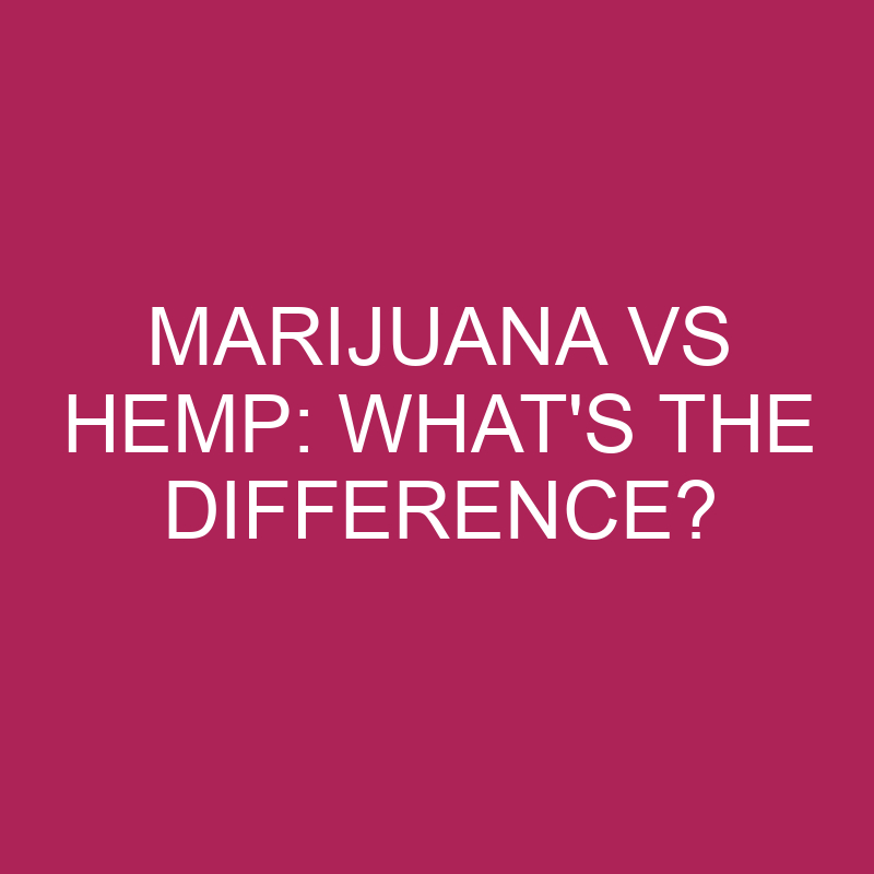 Marijuana Vs Hemp: What’s The Difference?