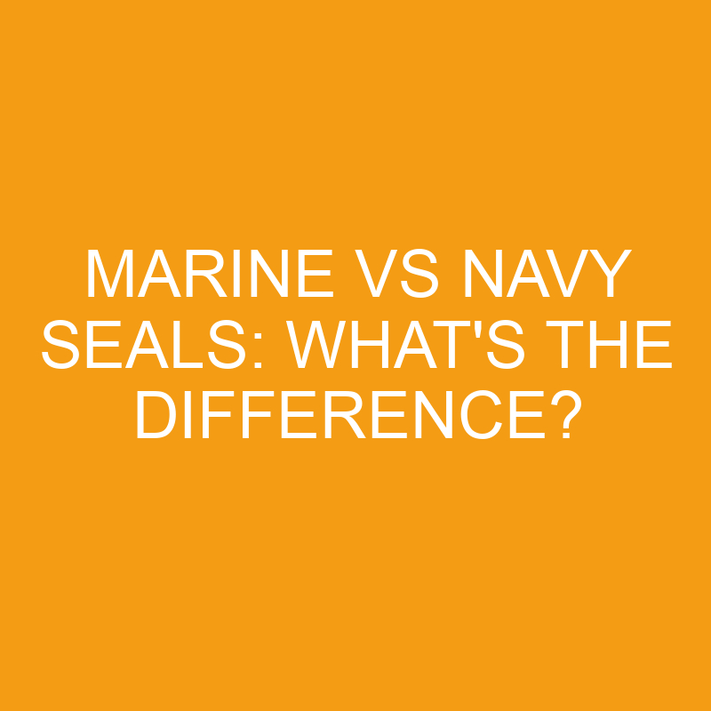 Marine Vs Navy Seals: What’s the Difference?