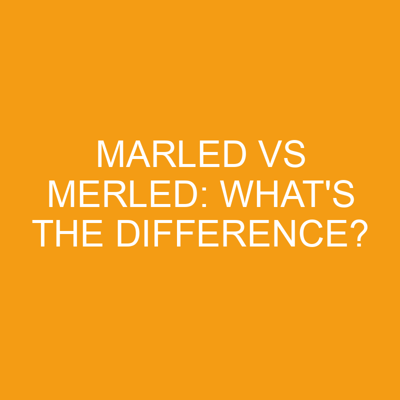 Marled Vs Merled: What’s The Difference?