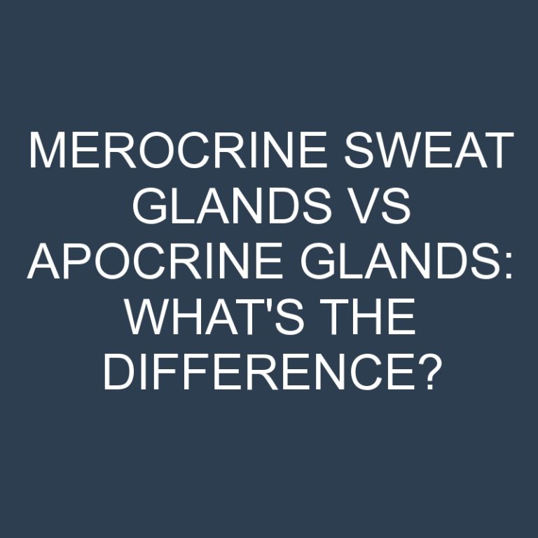 Merocrine Sweat Glands Vs Apocrine Glands: What’s the Difference?