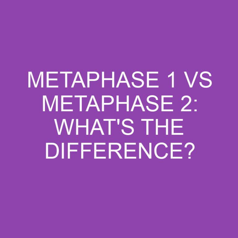 Metaphase 1 Vs Metaphase 2: What’s the Difference?