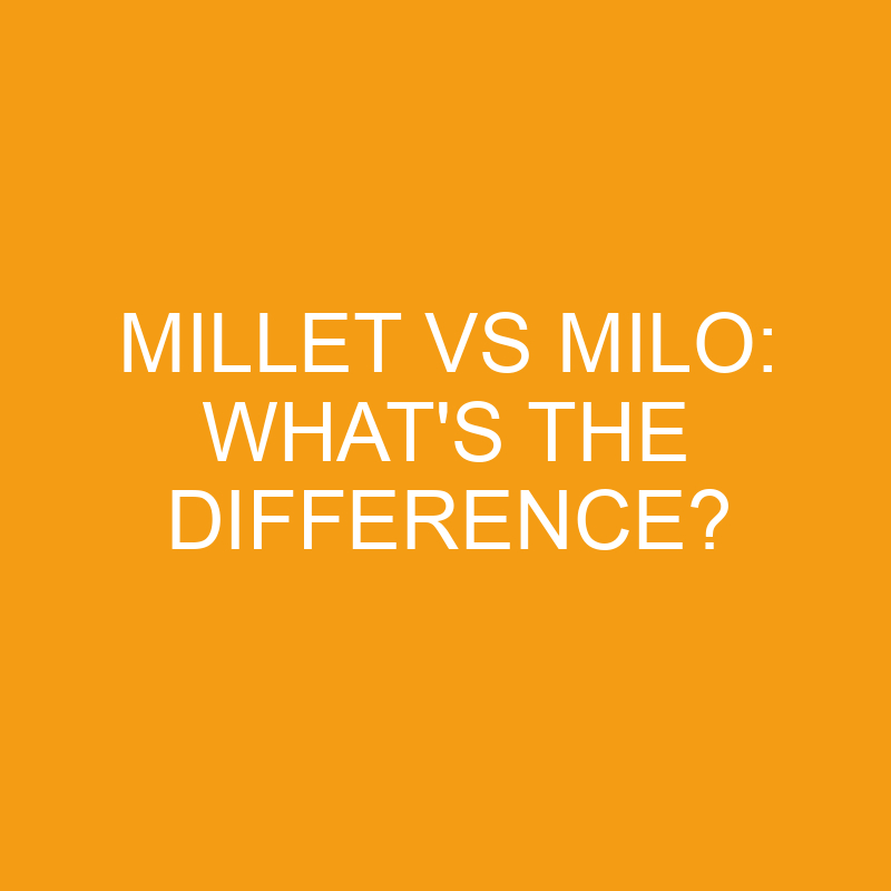 millet vs milo whats the difference 3402