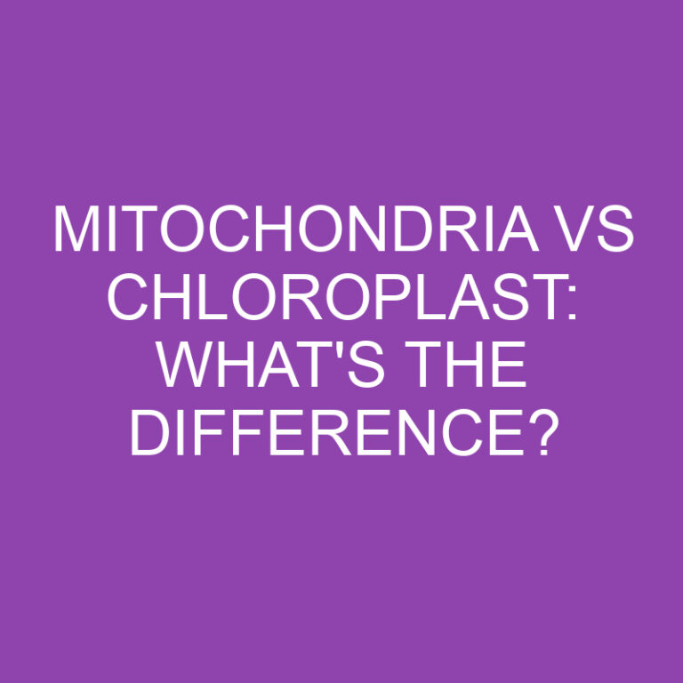 Mitochondria Vs Chloroplast: What’s the Difference?