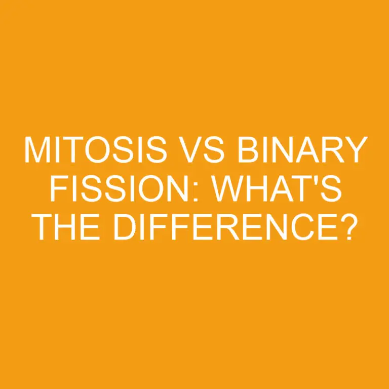 Mitosis Vs Binary Fission: What’s the Difference?