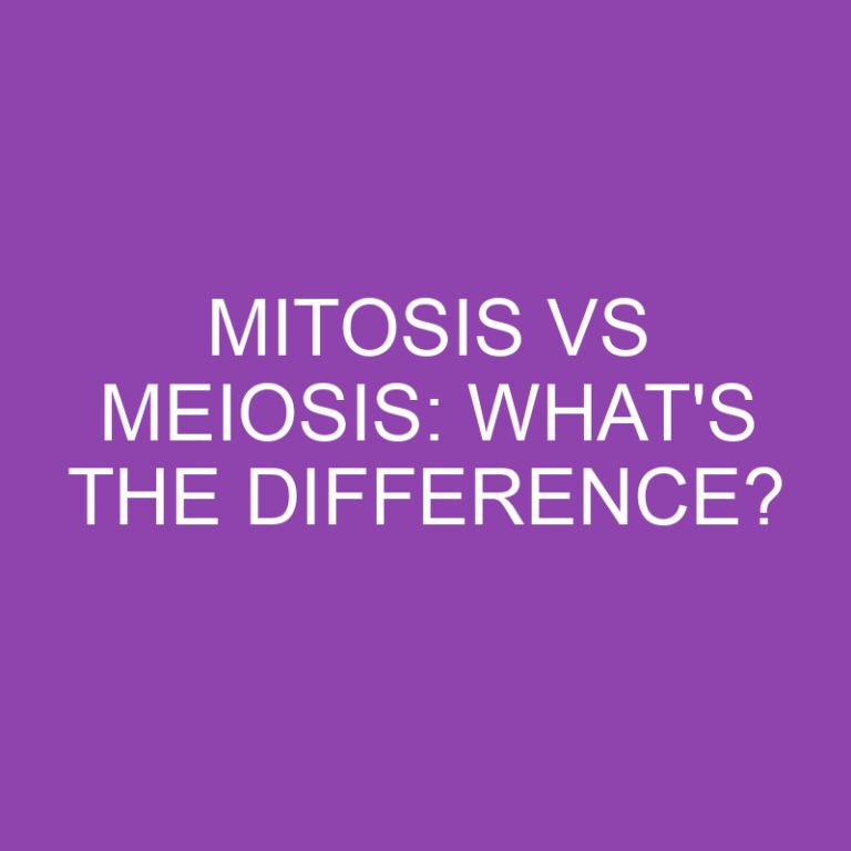 Mitosis Vs Meiosis: What’s the Difference?