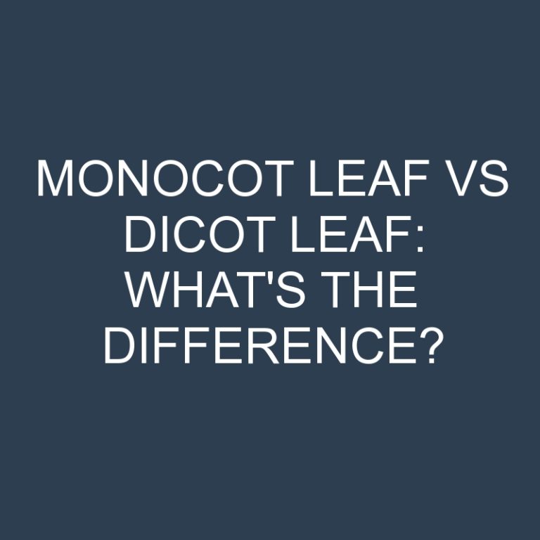 Monocot Leaf Vs Dicot Leaf: What’s the Difference?
