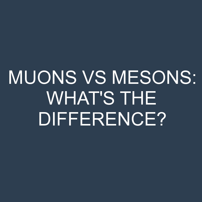 muons vs mesons whats the difference 2050 1