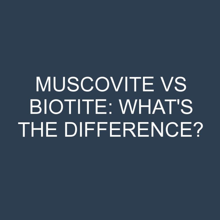 Muscovite Vs Biotite: What’s the Difference?
