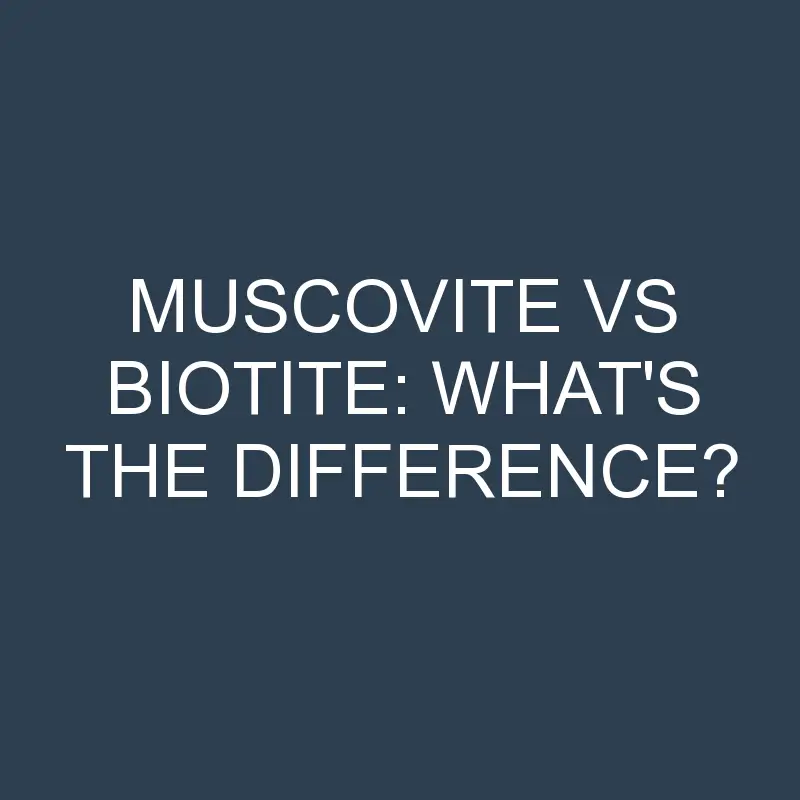 muscovite vs biotite whats the difference 2049 1