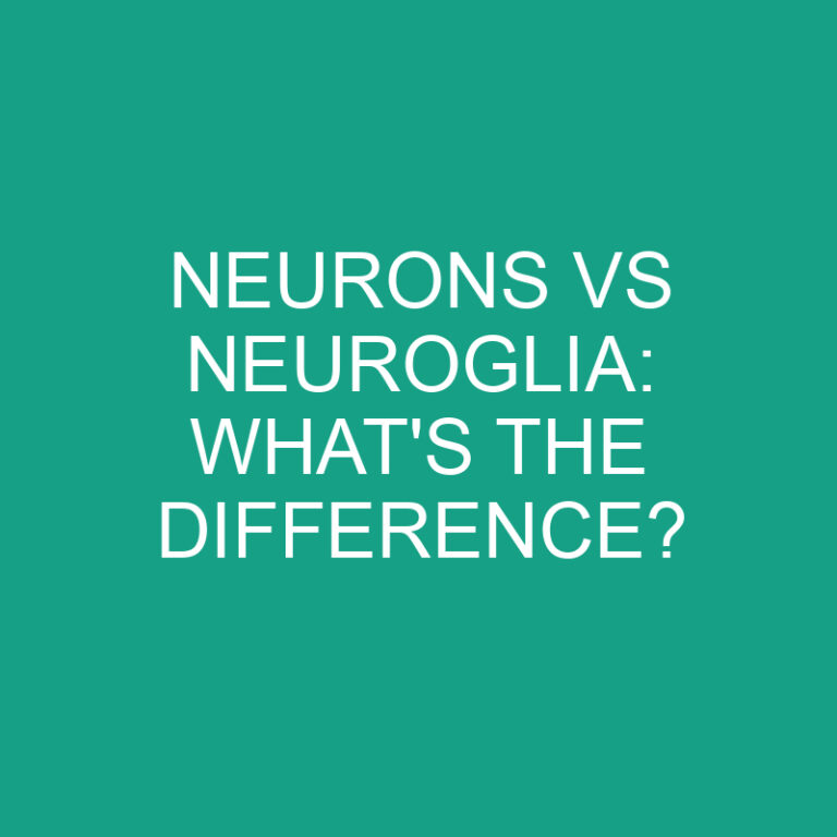 Neurons Vs Neuroglia: What’s the Difference?