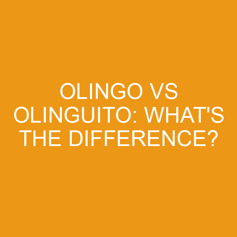 Olingo Vs Olinguito: What’s The Difference?