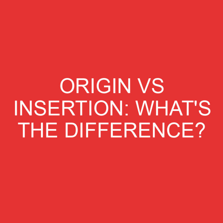 Origin Vs Insertion: What’s the Difference?