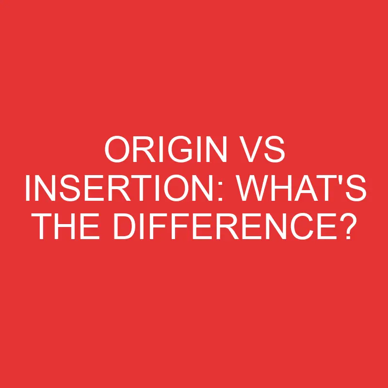 Origin Vs Insertion What s The Difference Differencess