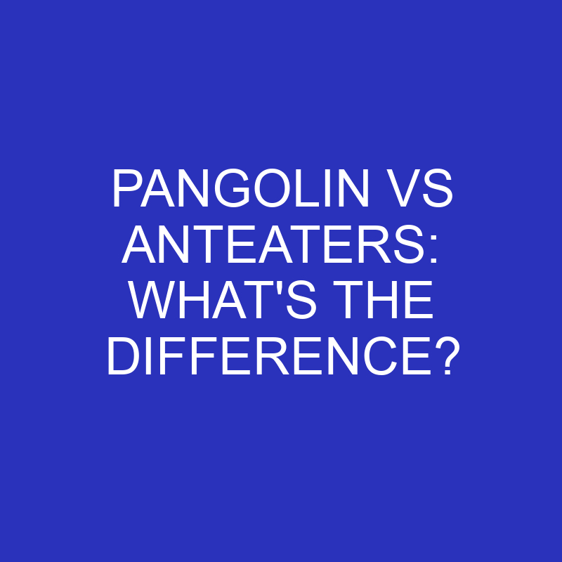 Pangolin Vs Anteaters: What's The Difference? » Differencess