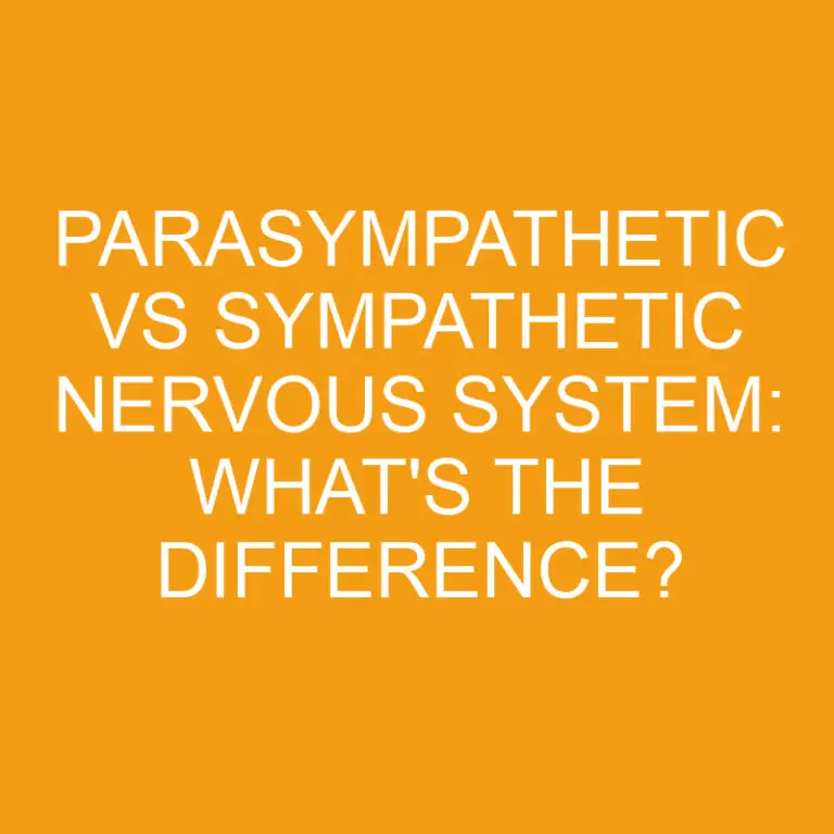 Parasympathetic Vs Sympathetic Nervous System: What’s the Difference?