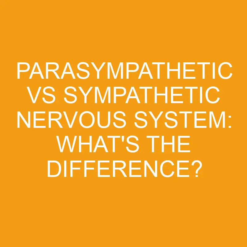 parasympathetic vs sympathetic nervous system whats the difference 3266