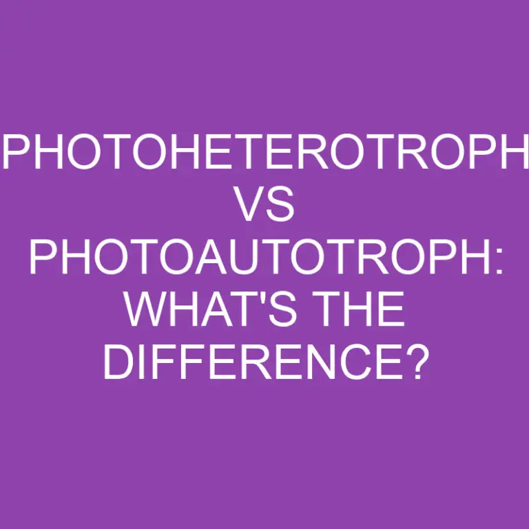 Photoheterotroph Vs Photoautotroph: What’s The Difference?