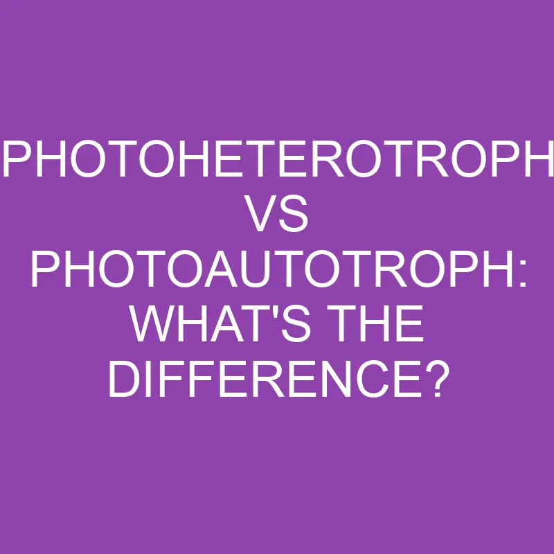 photoheterotroph vs photoautotroph whats the difference 4358