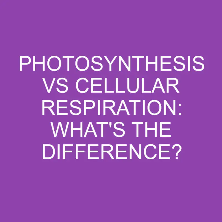 Photosynthesis Vs Cellular Respiration: What’s the Difference?