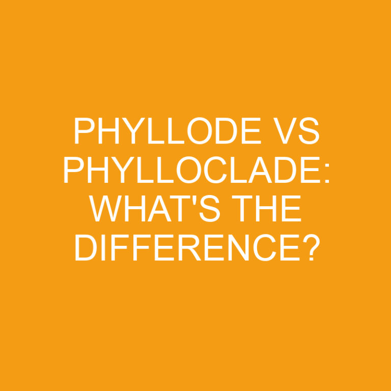 Phyllode Vs Phylloclade: What’s the Difference?