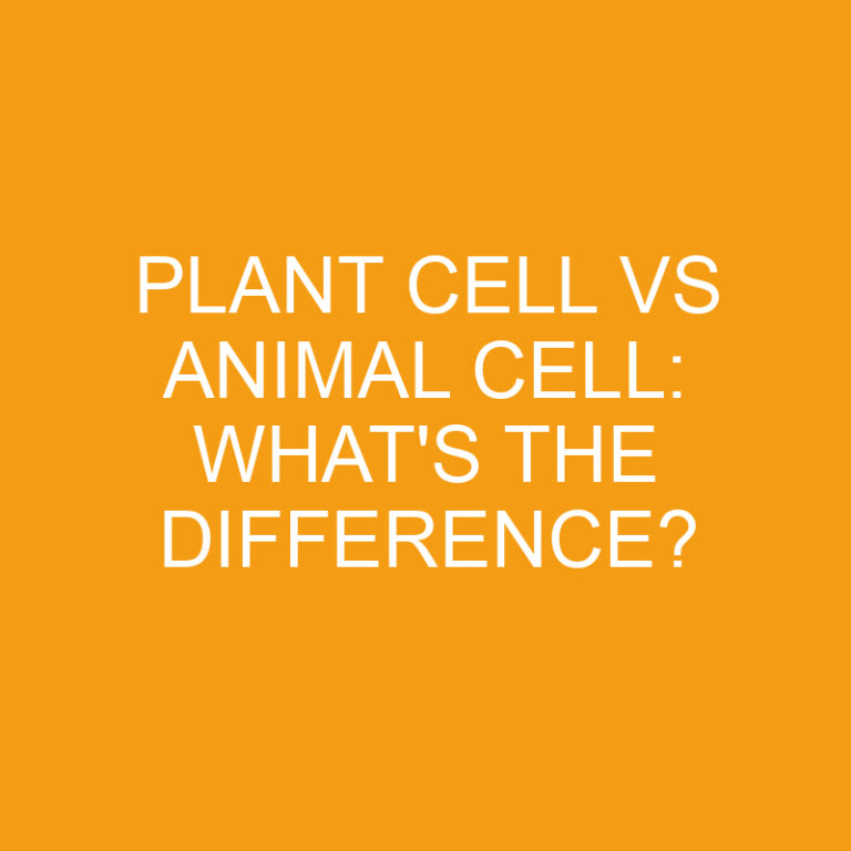 Plant Cell Vs Animal Cell: What’s the Difference?