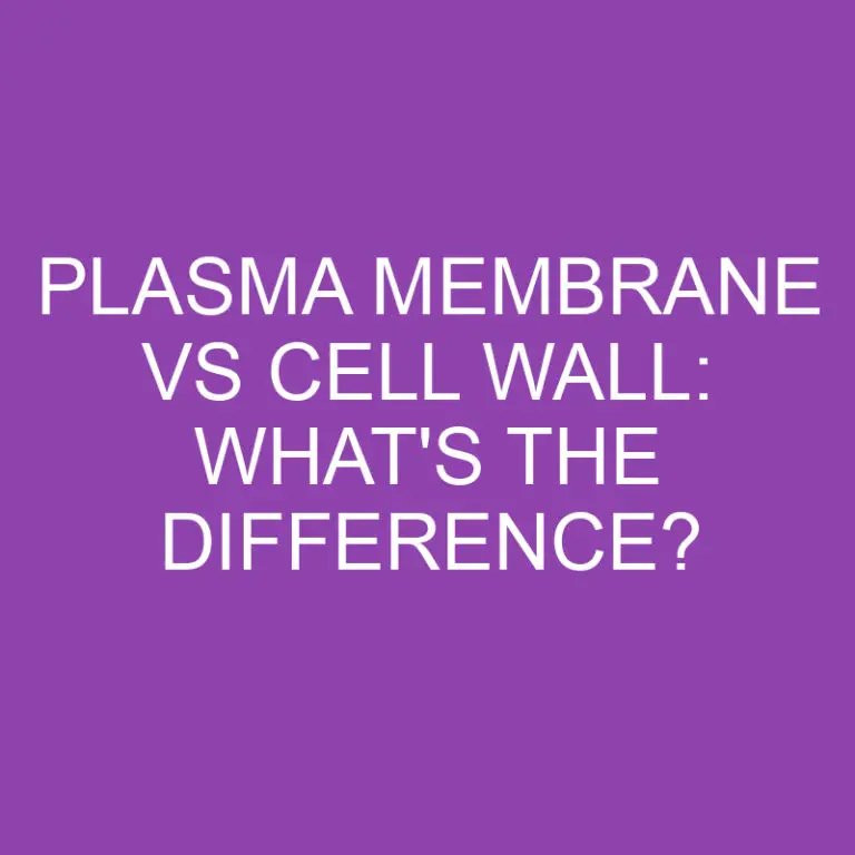 Plasma Membrane Vs Cell Wall: What’s the Difference?