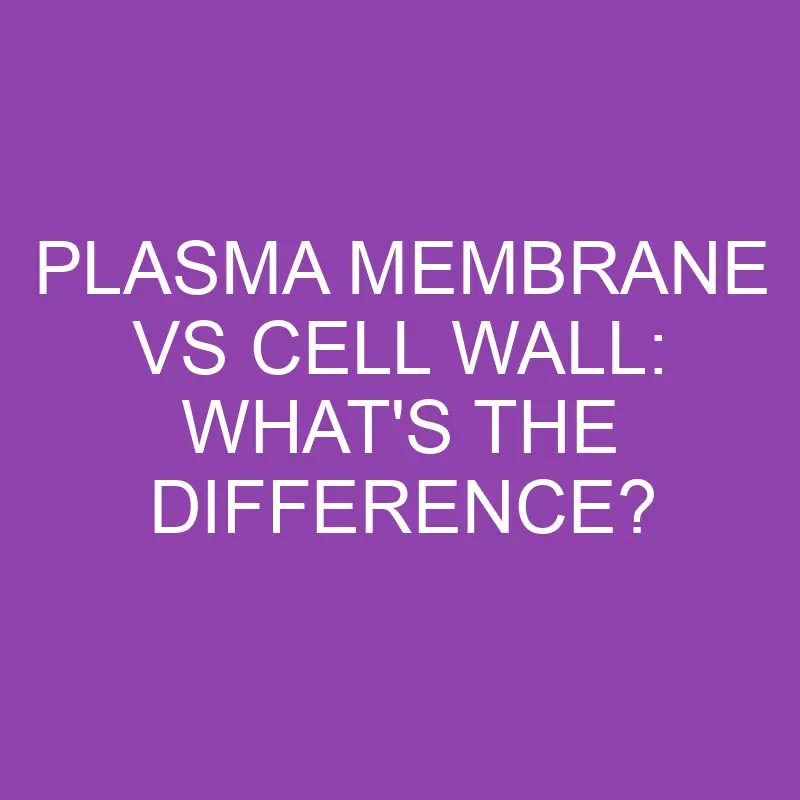 plasma membrane vs cell wall whats the difference 3185