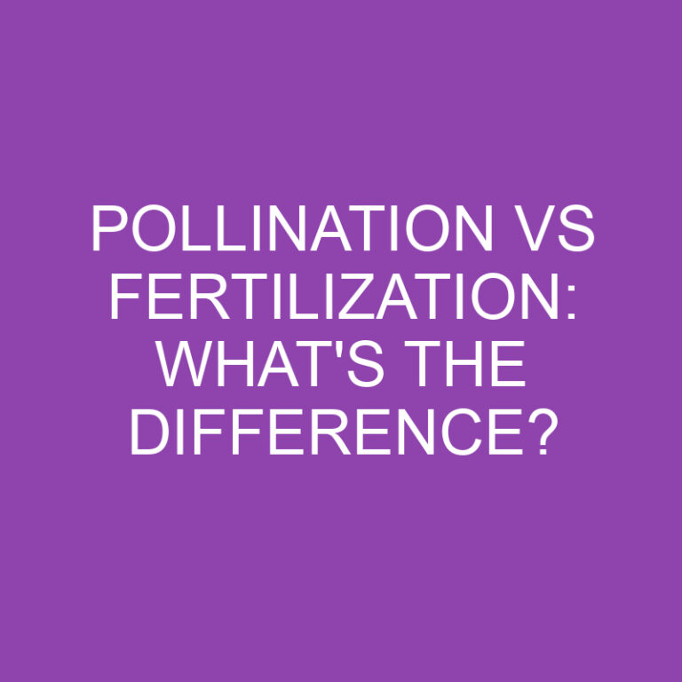 Pollination Vs Fertilization: What’s the Difference?