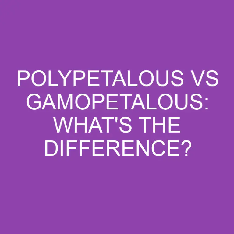 Polypetalous Vs Gamopetalous: What’s The Difference?