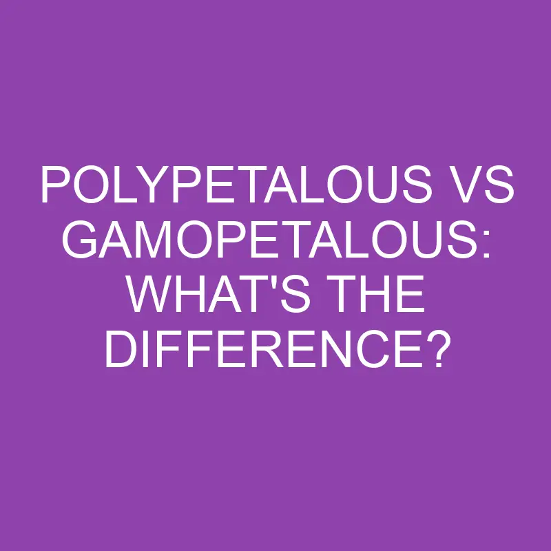 polypetalous vs gamopetalous whats the difference 3867