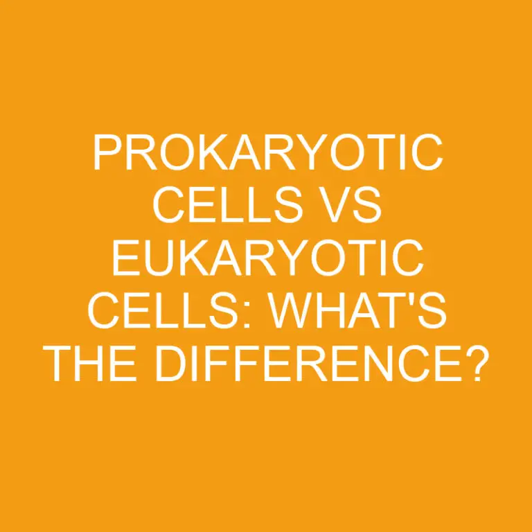 Prokaryotic Cells Vs Eukaryotic Cells: What’s the Difference?