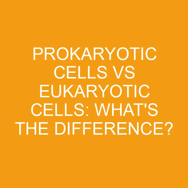 prokaryotic cells vs eukaryotic cells whats the difference 3251