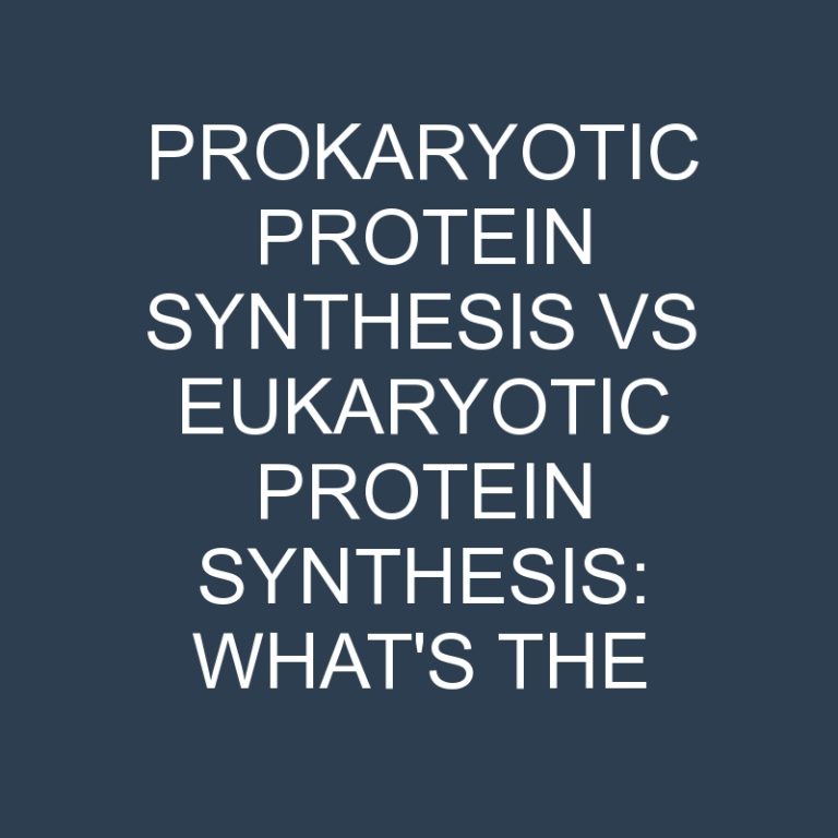 Prokaryotic Protein Synthesis Vs Eukaryotic Protein Synthesis: What’s the Difference?