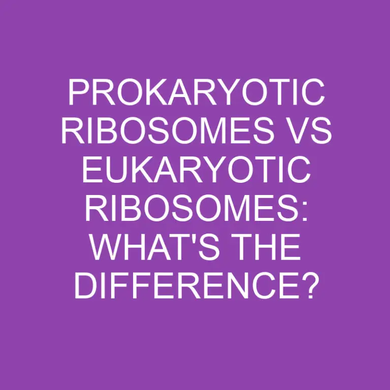 Prokaryotic Ribosomes Vs Eukaryotic Ribosomes: What’s the Difference?