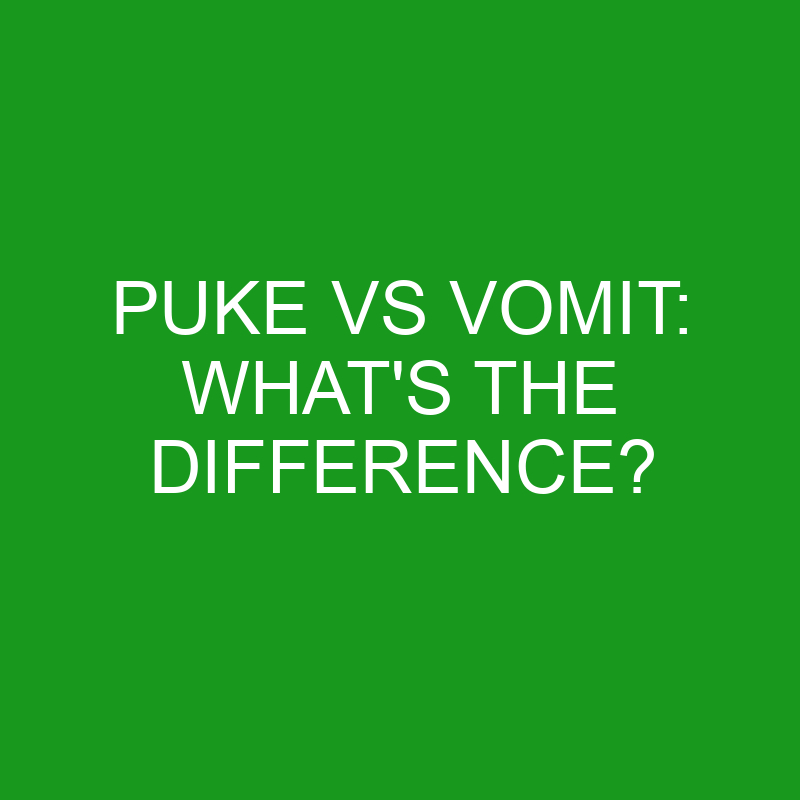 puke vs vomit whats the difference 5050