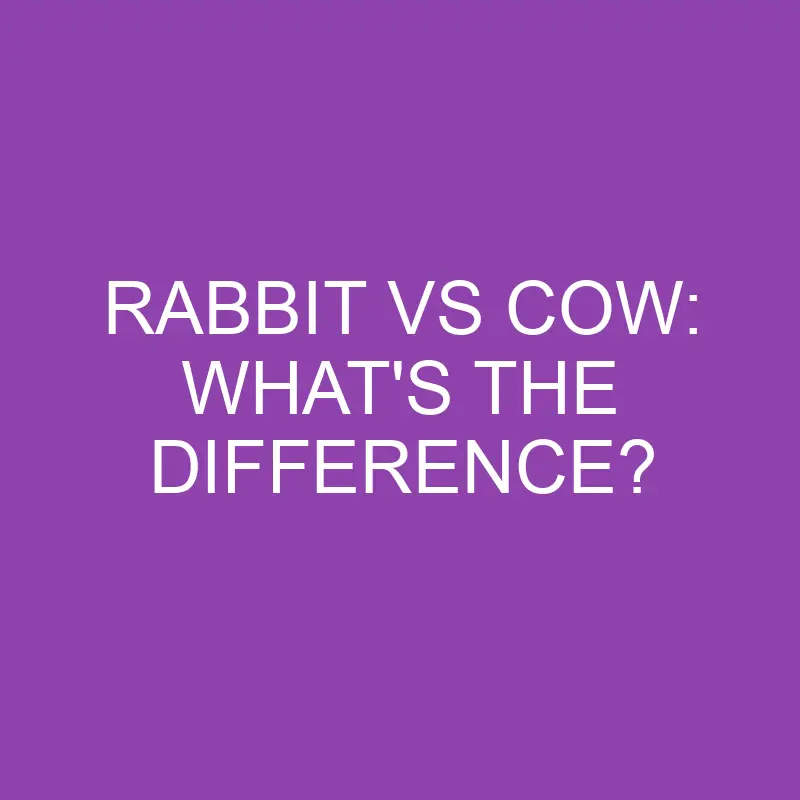 Rabbit Vs Cow: What’s The Difference?